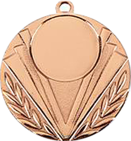 Медаль 50 мм бронза