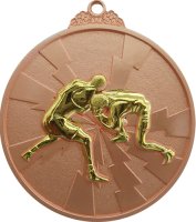 Медаль 65 мм Борьба бронза