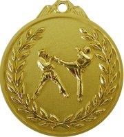 Медаль 65 мм Єдиноборства золото