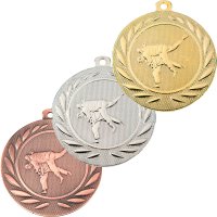 Комплект медалей 50 мм Карате (без лент)