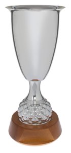 Кубок OPALE Высота - 35 см