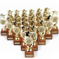 Статуэтка Звезда на деревяном основании Статуэтка Звезда на деревяном основании