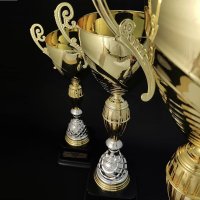 Кубок Універсальний з ручками