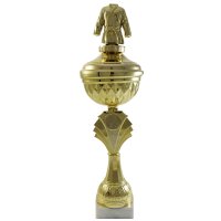 Кубок Єдиноборства Висота - 34 см