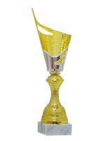 Кубок Висота - 30 см