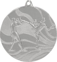 Медаль 50 мм Единоборства серебро
