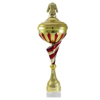 Кубок Єдиноборства Висота - 49 см
