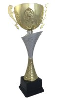Кубок Висота - 35 см
