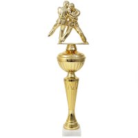 Кубок Єдиноборства Висота - 38,5 см