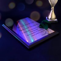 Диплом, кубок, медаль с нанесением на заказ