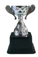 Кубок Висота - 19 см срібло
