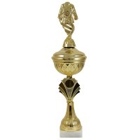 Кубок Кімоно Висота - 39 см