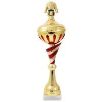 Кубок Кімоно Висота - 48,5 см