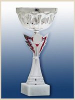 Кубок Висота - 21 см