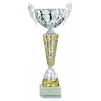 Кубок Висота - 42 см