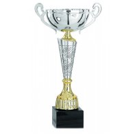 Кубок Висота - 29 см