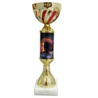 Кубок Шахматы Компас Высота - 24,5 см