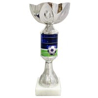 Кубок Футбол Поле Высота - 22,5 см