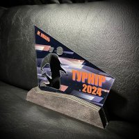 Приз Награда Футбол Турнир 2024 10100296 высота: 13 см