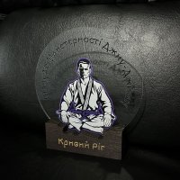 Приз Награда Путь к Мастерству Джиу-Джитсу 10100381 высота: 14 см