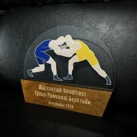 Приз Награда Чемпионат Греко-Римской борьбы 10100387 высота: 14 см