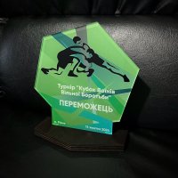 Приз Награда Турнир Кубок воинов Свободной борьбы 10100351 высота: 18 см