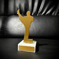 Приз Нагорода Карате з металу 101009 висота: 10 см