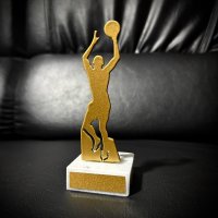 Приз Нагорода Баскетболіст з металу 10100943 висота: 11 см