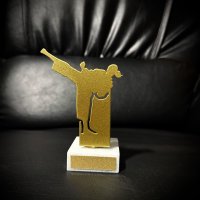 Приз Нагорода Карате з металу 10101230 висота: 10 см Приз Нагорода Карате з металу 10101230 висота: 10 см