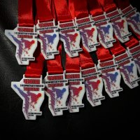 Медаль Акрил Чемпионат по Тхэквондо Диаметр 70-100 мм