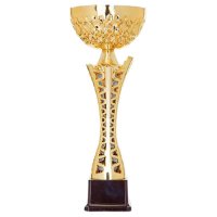 Кубок Висота - 31 см