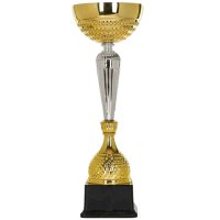 Кубок Висота - 37 см