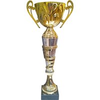 Кубок Высота - 33 см Кубок Высота - 33 см