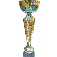 Кубок Висота - 28,5 см