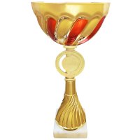 Кубок Высота - 17 см Кубок Высота - 17 см