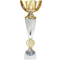 Кубок Высота - 29 см Кубок Высота - 29 см