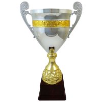 Кубок Висота - 43 см