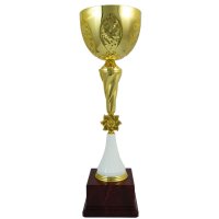 Кубок Висота - 40 см