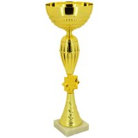 Кубок Висота - 29 см
