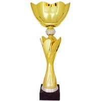 Кубок Висота - 31 см