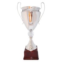 Кубок Висота - 55 см