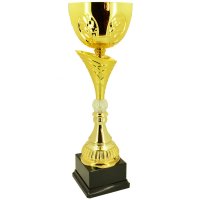 Кубок Висота - 48 см