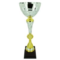 Кубок Висота - 42,5 см