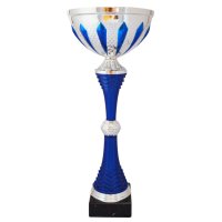 Кубок Висота - 30 см