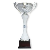 Кубок Висота - 32 см