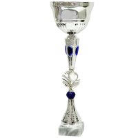 Кубок Висота - 41 см