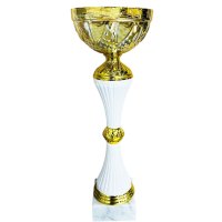 Кубок Высота - 24,5 см Кубок Высота - 24,5 см