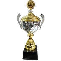 Кубок Висота - 50 см