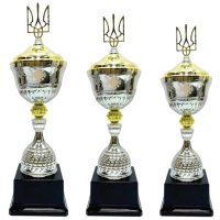 Комплект кубків Український Тріумф Висота: 52 см, 49 см, 45 см