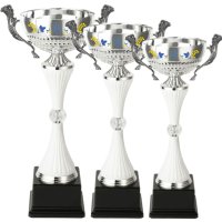 Комплект кубків Переможців України Висота: 41 см, 36 см, 32 см